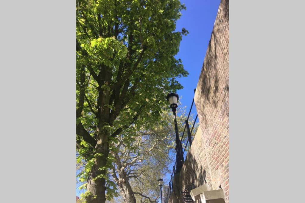 Ferienwohnung Werfkelder aan de Oudegracht Utrecht Exterior foto
